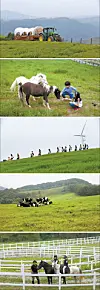 테스트
