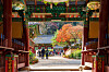 Baekyang Temple in Jangseong County, South Jeolla, is famous for the fall foliage view. [BAEK JONG-HYUN]