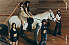 A concept photo for girl group Le Sserafim's newest album ″Unforgiven″ [SOURCE MUSIC]