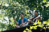Disney+ original film “Fire Island” (2022), directed by Korean-American filmmaker Andrew Ahn, adapts Jane Austen’s “Pride and Prejudice” into a gay rom-com set in Fire Island Pines. [SIPFF]