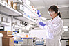 A researcher from LG CHEM tests a product in a laboratory. [LG CHEM]