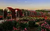 Gokseong International Rose Festival in Gokseong County, South Jeolla, attracts around 300,000 visitors every year. [GOKSEONG INTERNATIONAL ROSE FESTIVAL]