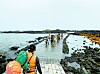 Haenyeo walk along the trail in Hado-ri, Gujwa-eup, Jeju City in Jeju Island, preparing for their dive in February. [JOONGANG ILBO]