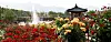 Gokseong International Rose Festival in Gokseong County, South Jeolla, will run from May 16 until May 25 this year. [GOKSEONG INTERNATIONAL ROSE FESTIVAL]