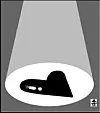 테스트
