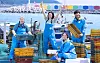 The reality TV show “Fresh Off the Sea” on tvN shows how celebrities go about each day in a small fishing village. [TVN]