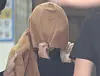 A Korean woman in her 40s, who is a suspect in the case of two children's bodies found inside suitcases in New Zealand in August, walks out of Ulsan Metropolitan Police Agency on Sept. 15, 2022.[YONHAP]