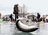 테스트