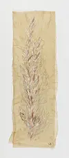 ″Leaves (#4)″(2006) by the renowned French-American artist Louise Bourgeois [KUKJE GALLERY]