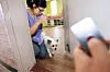 테스트
