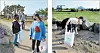 Members of KISJ Community Club, a different group at KISJ, pick up trash at Jeju’s Olle Trail on Oct. 13. [KISJ COMMUNITY]