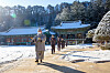 A monk leads temple stay participants around Woljeong Temple [CULTURAL CORPS OF KOREAN BUDDHISM]