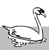 테스트