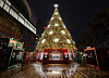 The Christmas market at Lotte Department Store in Songpa District, southern Seoul features 41 shops, 16 more than last year. [LOTTE DEPARTMENT STORE]