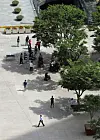 People stand under shade of trees to avoid direct sunlight at Seoul Plaza in front of Seoul City Hall on Monday during the heat of the day. [YONHAP]