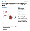 An image of the ″Obesity enhances antiviral immunity in the genital mucosa through a microbiota-mediated effect on γδ T cells″ report published on Cell Report [SCREEN CAPTURE]