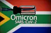 A vial and a syringe are displayed in front of a South Africa flag and the words ″Omicron SARS-CoV-2″ in this illustration published on Nov. 27. [REUTERS/DADO RUVIC]