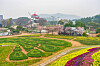 Taean County in South Gyeongsang is home to the annual World Tulip Exhibition, which takes place at Korea Flower Park. This year, the festival runs from April 10 to May 7. [JOONGANG PHOTO]