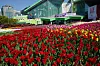 Goyang hosts this year's International Horticulture Goyang Korea festival from April 26 until May 12. [GOYANG CITY]