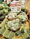 Small watermelons are displayed at a discount mart in Seoul on Tuesday. Small watermelon varieties are gaining popularity as the number of single-person households surges in Korea. Sales of black mango watermelon increased 283 percent on year from May 11 to 31 while apple watermelon sales surged by 184 percent compared to the same period last year, according to Homeplus. [YONHAP]