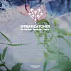 A scheduler for girl group Dreamcatcher's upcoming album ″Apocalypse : From us″ [DREAMCATCHER COMPANY]