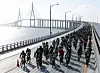 테스트