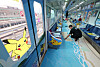 A worker wraps the interior of a train with Pokémon-themed designs at the Hopo Train Depot in northern Busan on July 23. To celebrate the 40th anniversary of the Busan Metro, Busan Transportation Corporation is launching a series of limited-time events starting July 25. Activities include Pokémon-designed QR tickets, a stamp rally, capsule toy machines and trains decked out in full Pokémon decor at six stations near major tourist attractions. [YONHAP]