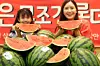 테스트