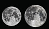 A 'micromoon,' left, and a 'supermoon' [KOREA ASTRONOMY & SPACE SCIENCE INSTITUTE]