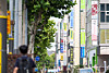 A street filled with hagwons, or private cram schools, in Dogok-dong in Gangnam District, southern Seoul. [JOONGANG ILBO]