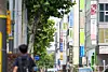 A street filled with hagwons, or private cram schools, in Dogok-dong in Gangnam District, southern Seoul. [JOONGANG ILBO]