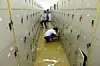 테스트