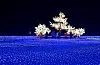 Haeundae Light Festival's highlight is the New Year's countdown event, scheduled to begin at 11 p.m. on Dec. 31, 2024. [HAEUNDAE LIGHT FESTIVAL]
