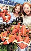테스트