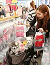 테스트
