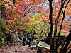 Hikers trek along Mount Bukhan in Goyang, Gyeonggi, which is adorned with vivid autumn foliage, on Sunday. [JOONGANG ILBO]