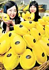 테스트