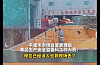 A video seemingly shows an employee urinating in a Tsingtao Brewery factory in China [SCREEN CAPTURE]