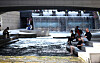 People sit in the shade along the Cheonggyecheon, a stream that flows through downtown Seoul, on Thursday as daytime temperatures remain between 26 and 31 degrees Celsius (78 and 88 degrees Fahrenheit). According to the weather agency, the daytime heat is expected to continue throughout the weekend. [NEWS1]