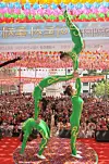 테스트