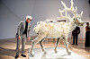 11908499.jpg?imageId=11908499&