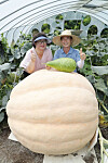 Farmers Yang Jae-myeong, right, and Baek Cheol-suk pose with their 380-kilogram (838-pound) pumpkin at their vinyl greenhouse in Uiryeong County, South Gyeongsang, on Tuesday morning. Yang and Baek grew seven super-sized pumpkins weighing between 200 to 380 kilograms last April. In an annual competition hosted by Rural Development Administration, Yang won the championship three times for growing the biggest pumpkins in the country. [YONHAP]