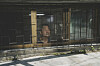 Actor Song Kang-ho looks out the window of banjiha, or a semi-basement apartment, in the Oscar-winning film ″Parasite.″ [CJ ENM]