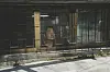 Actor Song Kang-ho looks out the window of banjiha, or a semi-basement apartment, in the Oscar-winning film ″Parasite.″ [CJ ENM]
