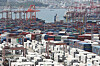 Containers are stacked high at the Sinseondae Terminal of Busan Port. [NEWS1]