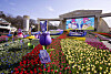 Everland’s Four Seasons Garden attracts visitors with Sanrio characters this spring. [SAMSUNG C&T]