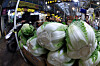 Napa cabbage is for sale at a traditional market in Dongdaemun District, eastern Seoul, on Aug. 6. [NEWS1]