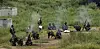 Civilian receives minor injuries during army mortar fire training