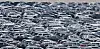 Hyundai Motor cars are waiting for export at a port in Pyeongtaek, Gyeonggi, on July 31, the day when the United States cut its tariffs on Korean goods to 15 percent. [YONHAP]