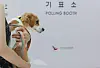 Barking rights — A voter heads toward the booth with their dog at a polling station set up inside the Maebongsan Indoor Badminton Court in Gangnam District, southern Seoul, on June 3, the day of the 21st presidential election. [YONHAP]